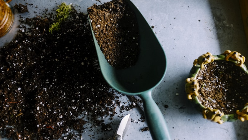 Professional garden landscaping design and installation