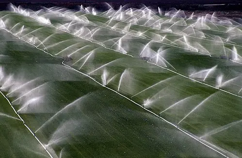 Sprinkler irrigation system in California