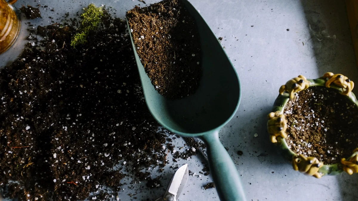 Professional landscaping service in San Francisco garden