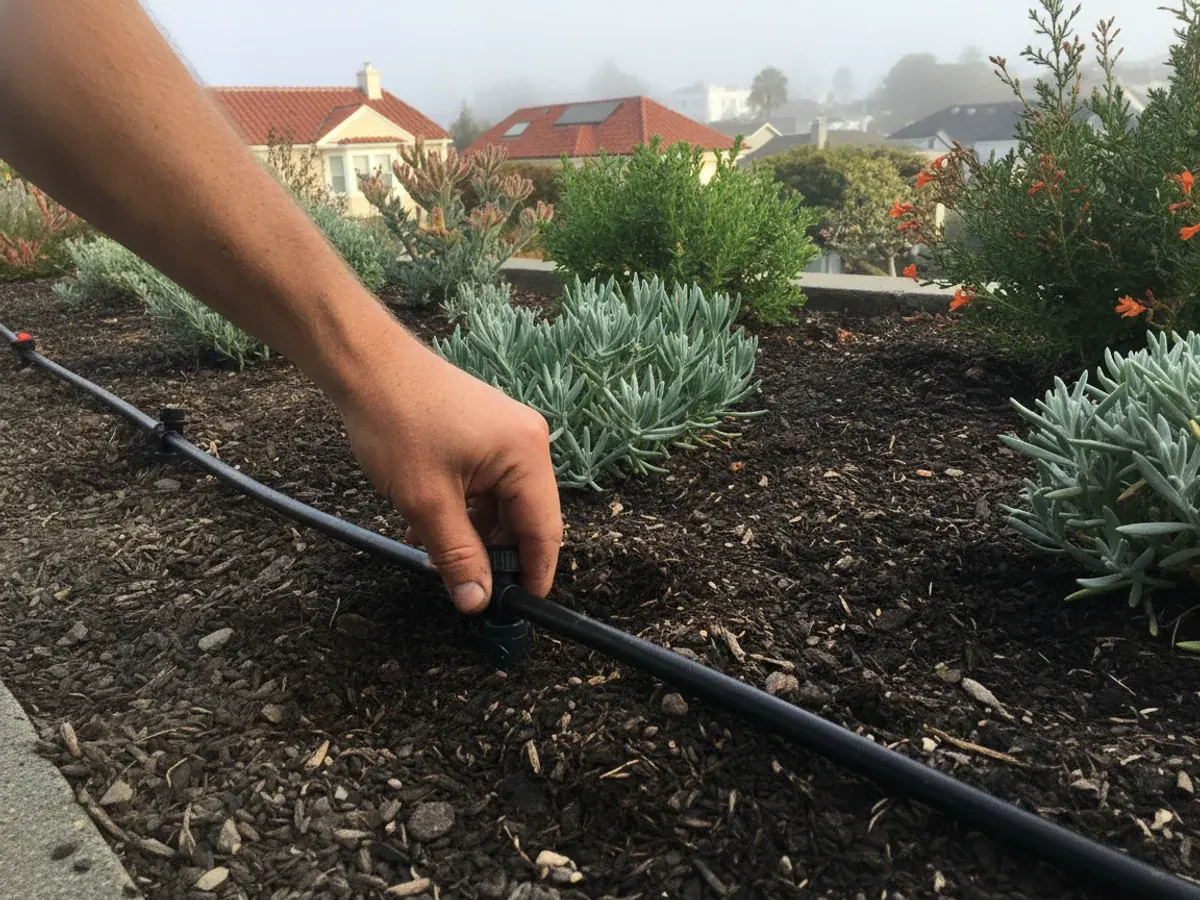 Irrigation Systems in San Francisco, CA